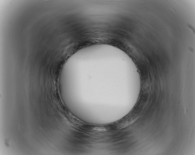 X0000096160749200801180851