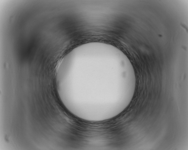 X0000096160750200801180851