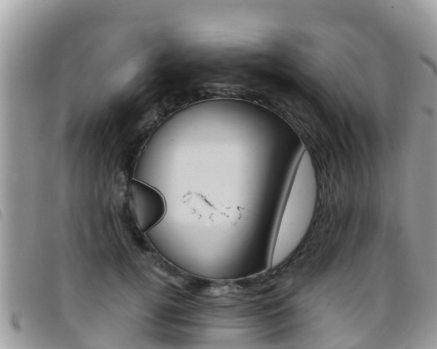 X0000096160752200801180851