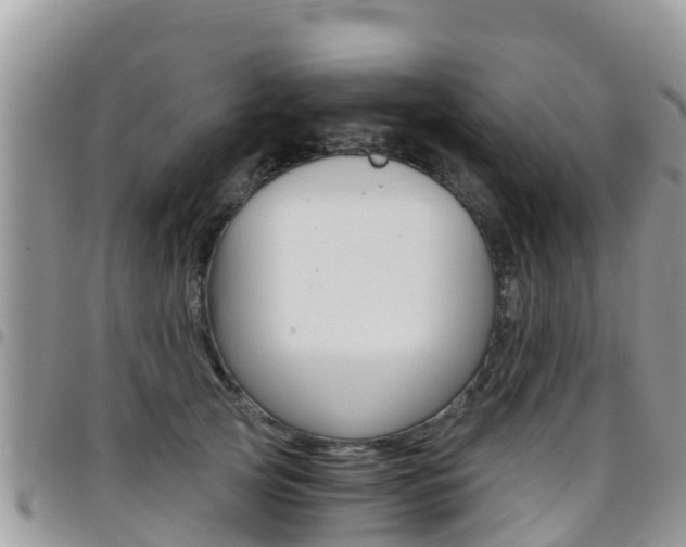X0000096160753200801180851