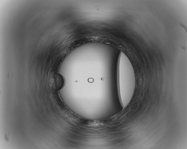 X0000096160754200801180851