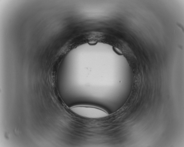 X0000096160755200801180851