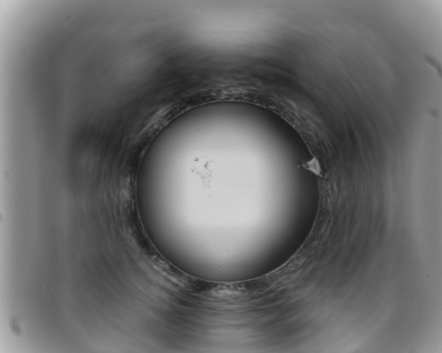 X0000096160756200801180851