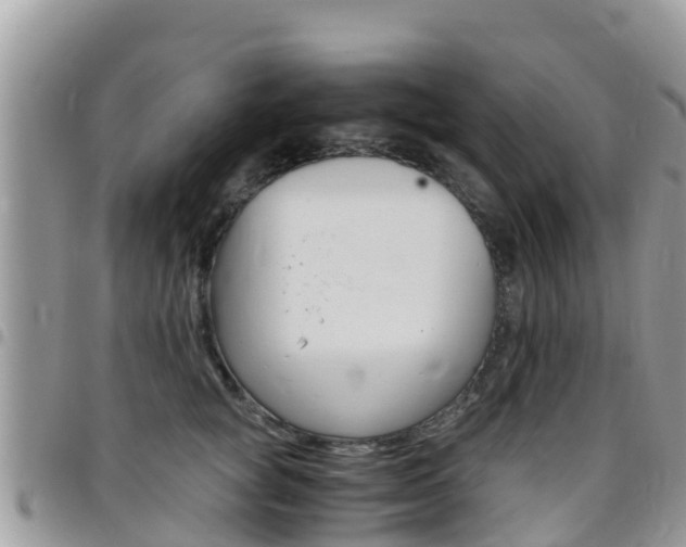 X0000096160757200801180851