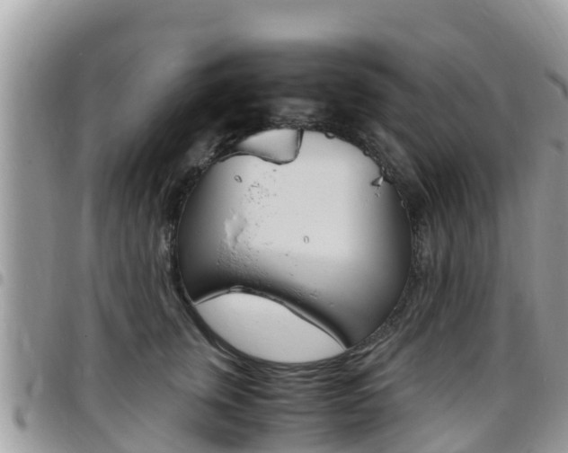 X0000096160759200801180851