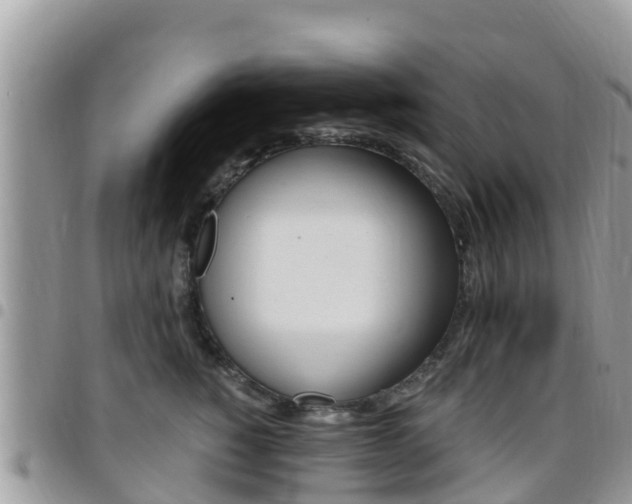X0000096160760200801180851