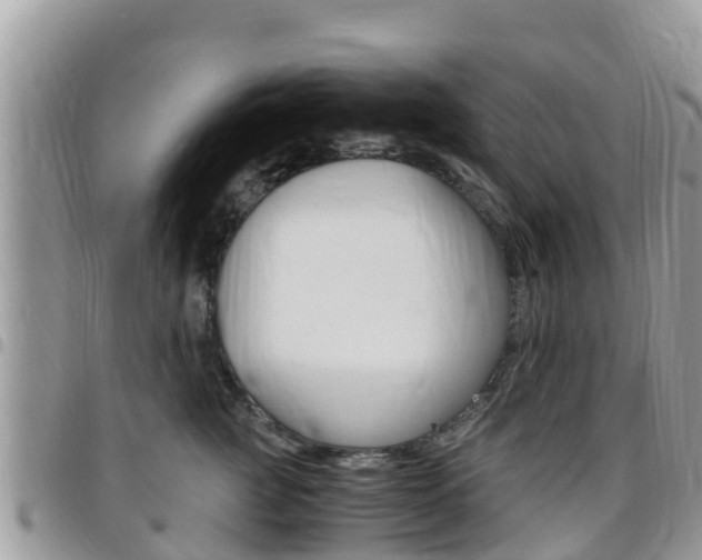 X0000096160761200801180851