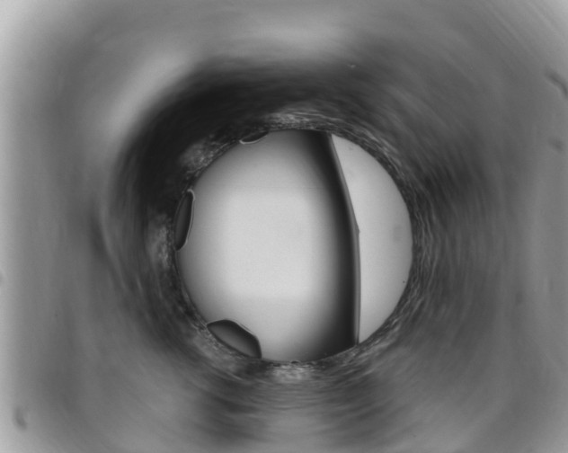 X0000096160762200801180851