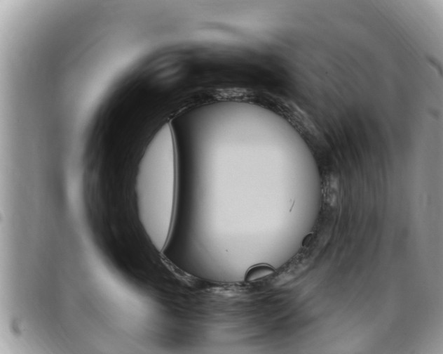X0000096160763200801180851
