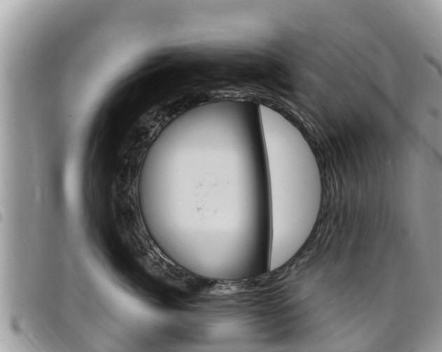 X0000096160764200801180851