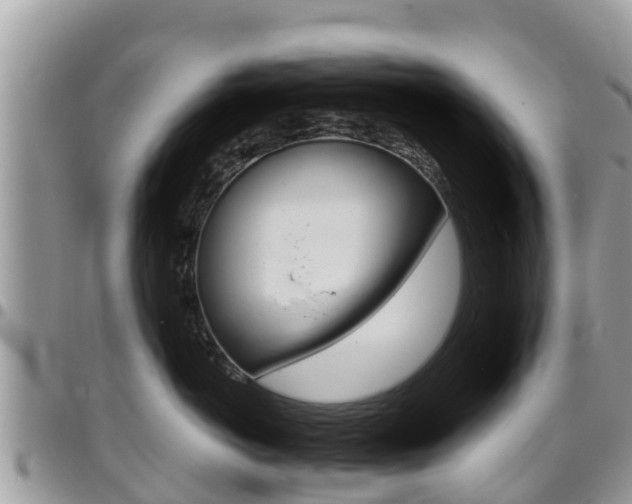 X0000096160766200801180851