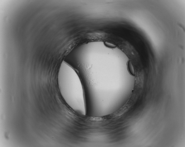 X0000096160767200801180851