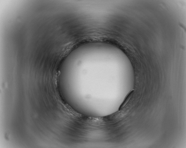 X0000096160768200801180851