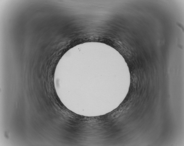 X0000096160769200801180850