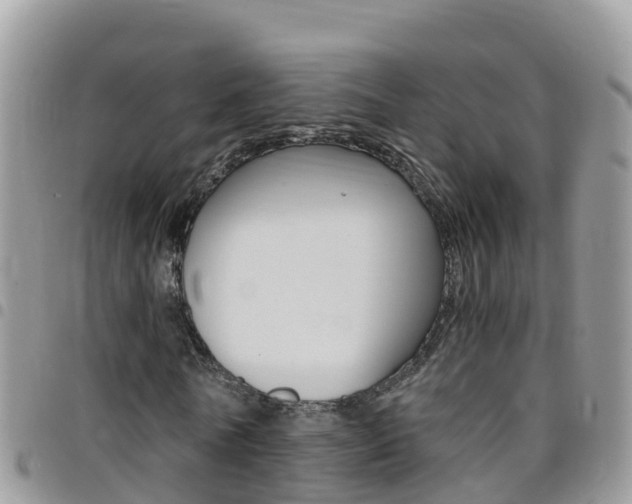 X0000096160770200801180850