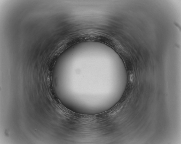 X0000096160771200801180850