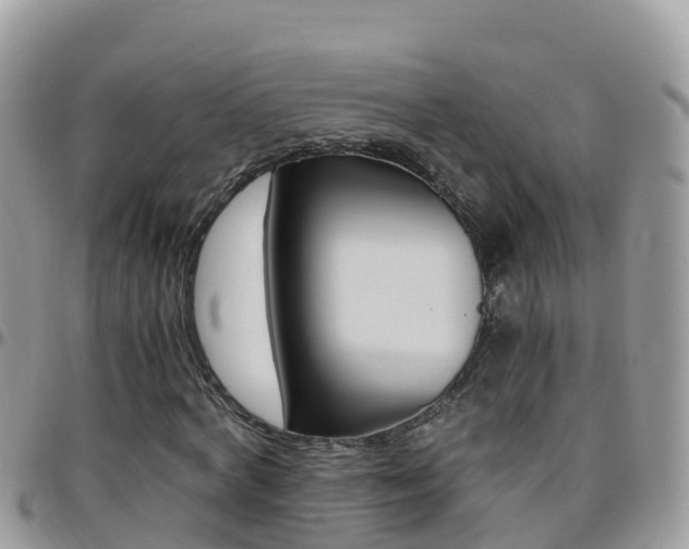 X0000096160772200801180850