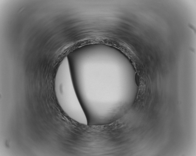 X0000096160773200801180850