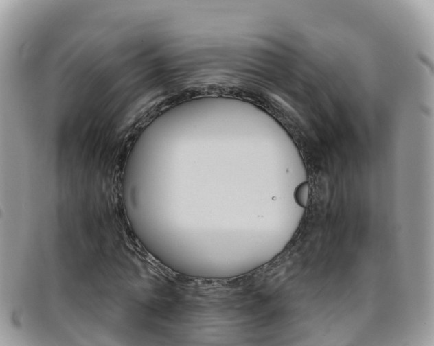 X0000096160774200801180850