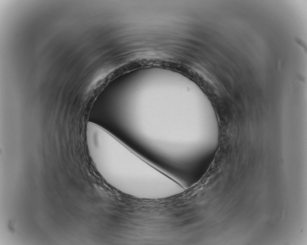 X0000096160775200801180850
