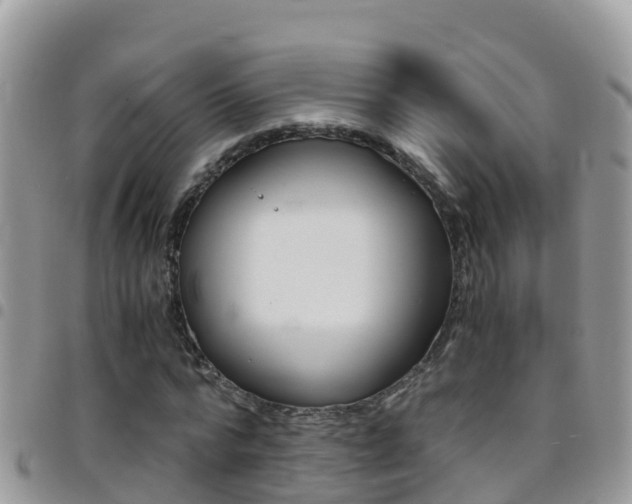X0000096160776200801180850