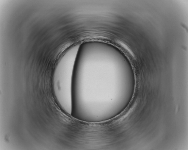 X0000096160777200801180850