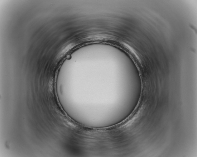X0000096160778200801180850