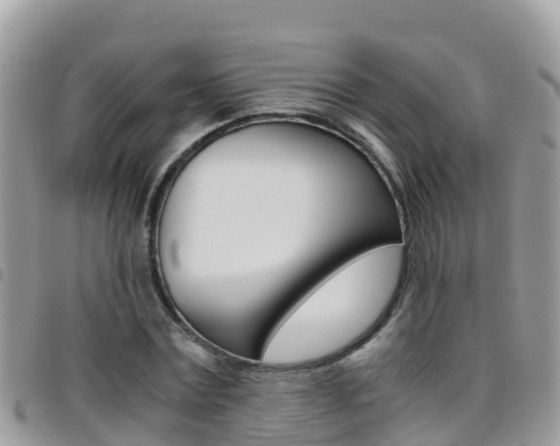 X0000096160779200801180850