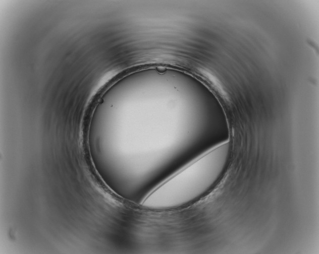 X0000096160780200801180850