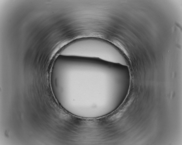 X0000096160781200801180850