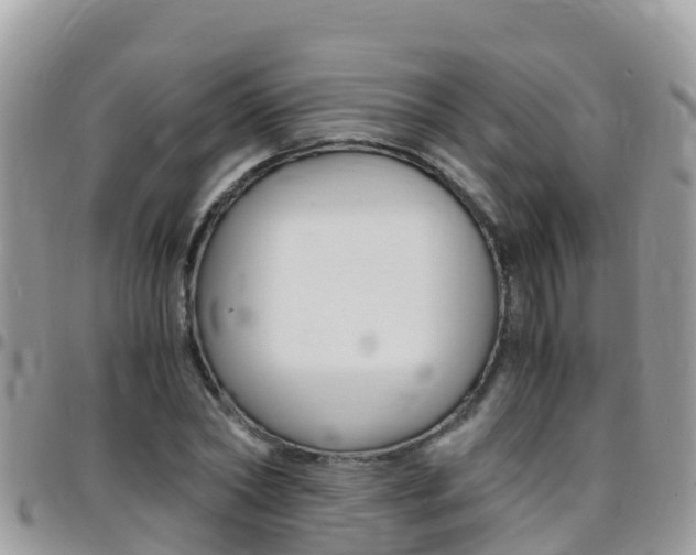X0000096160782200801180850