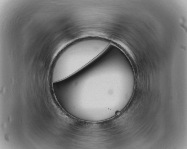 X0000096160783200801180850