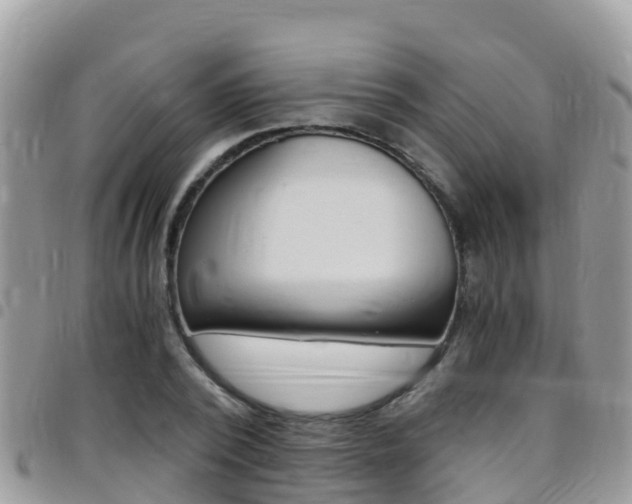 X0000096160784200801180850