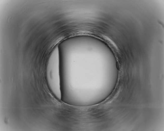 X0000096160785200801180850