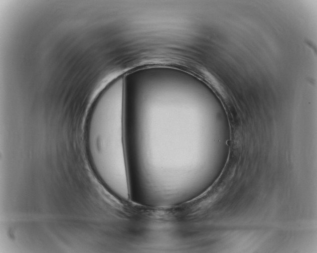 X0000096160787200801180850