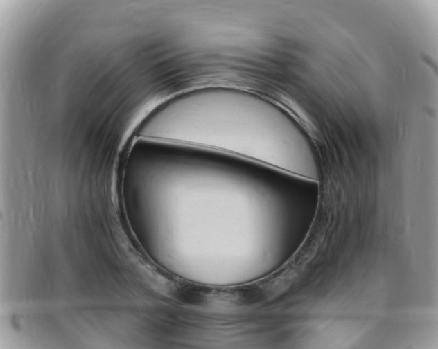 X0000096160788200801180850