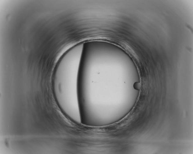 X0000096160789200801180850