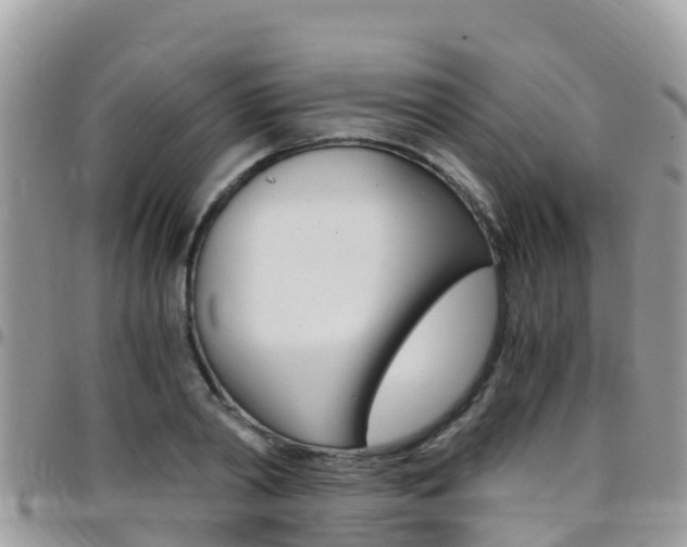 X0000096160790200801180850