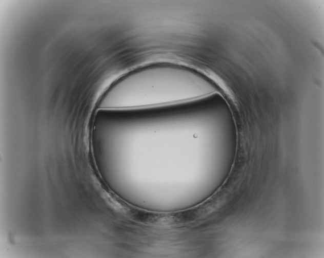 X0000096160791200801180850