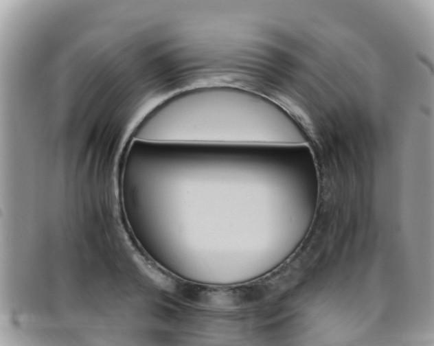 X0000096160792200801180850