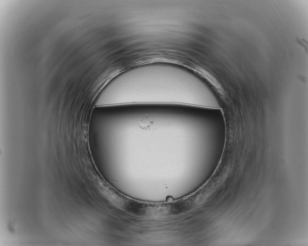 X0000096160793200801180850