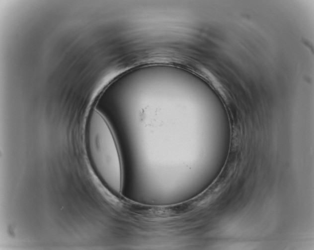 X0000096160795200801180850
