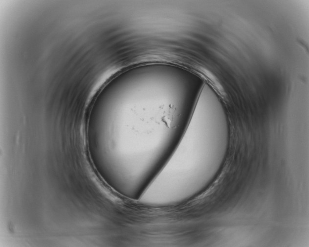 X0000096160796200801180850