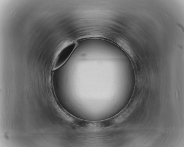X0000096160797200801180850