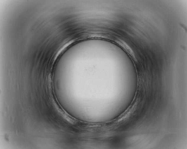 X0000096160798200801180850