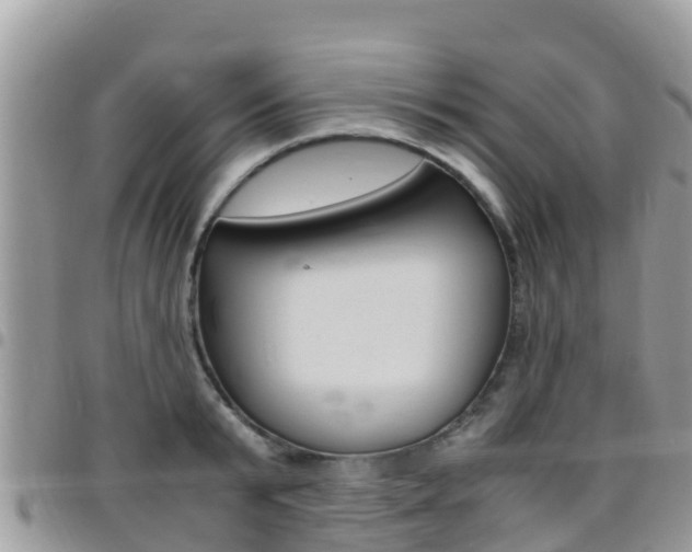 X0000096160799200801180850