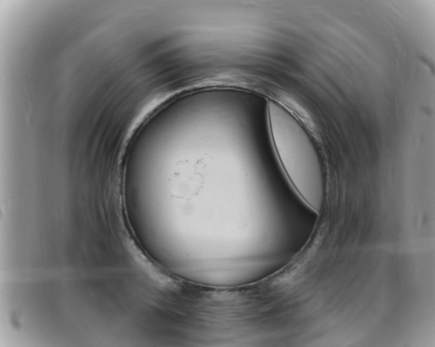 X0000096160800200801180850