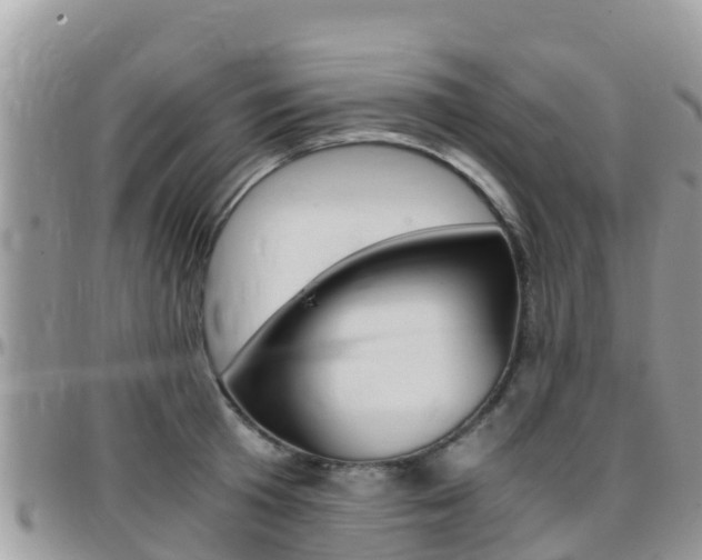 X0000096160801200801180850