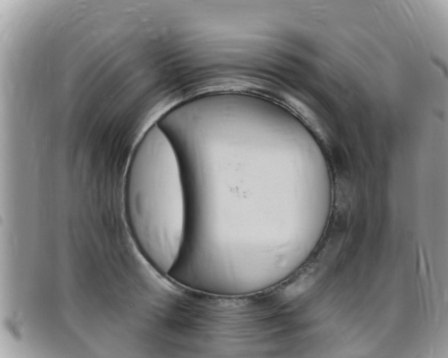 X0000096160802200801180850