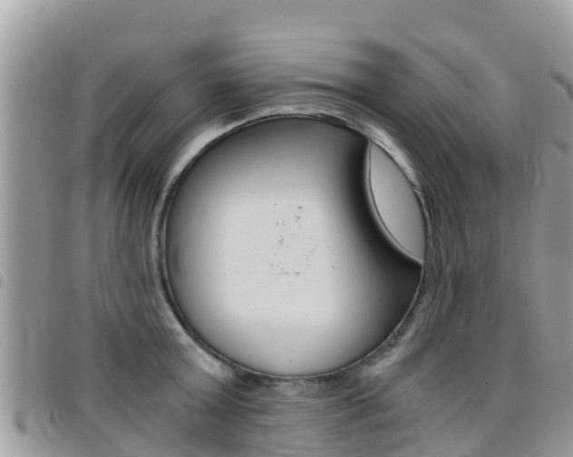 X0000096160803200801180850